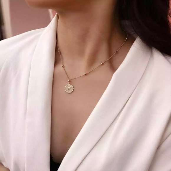 Zodiac Sign Astrology Beaded Charm Gift Necklace - Picture 1 of 16